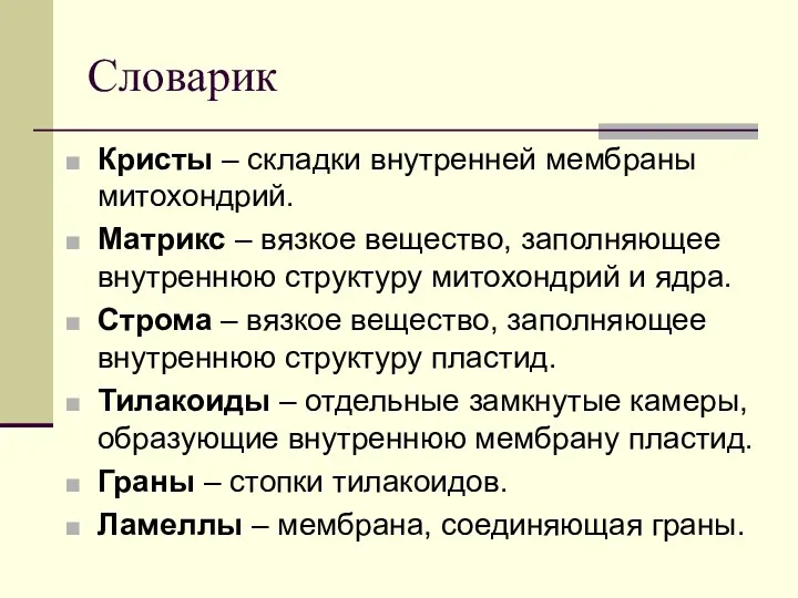 Словарик Кристы – складки внутренней мембраны митохондрий. Матрикс – вязкое