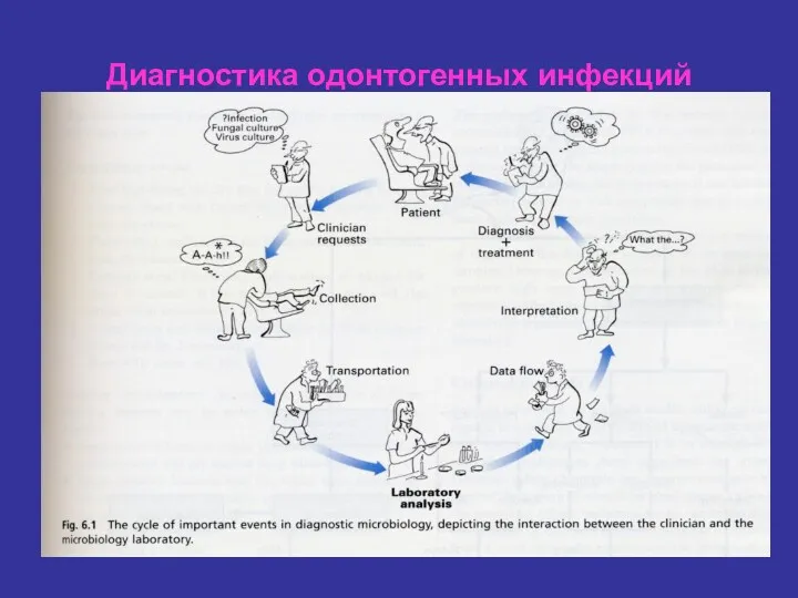 Диагностика одонтогенных инфекций