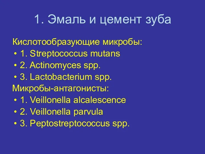 1. Эмаль и цемент зуба Кислотообразующие микробы: 1. Streptococcus mutans