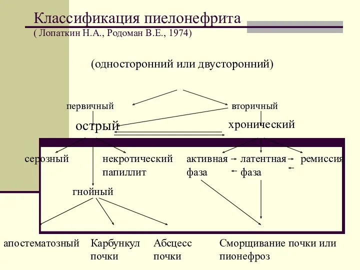 Классификация пиелонефрита ( Лопаткин Н.А., Родоман В.Е., 1974) (односторонний или