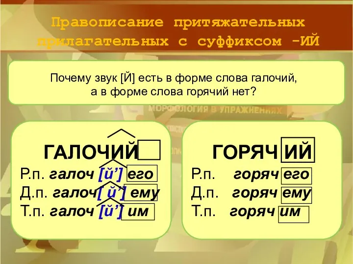 Правописание притяжательных прилагательных с суффиксом -ИЙ Почему звук [Й] есть