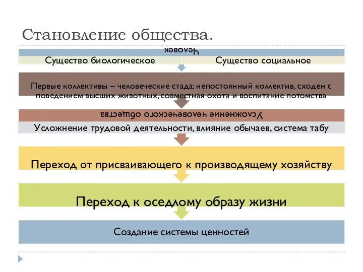 Становление общества.