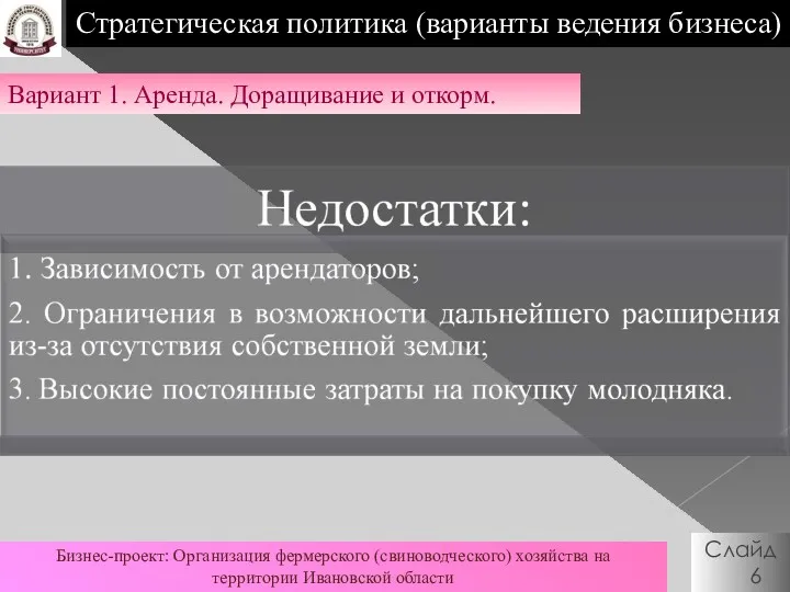 Вариант 1. Аренда. Доращивание и откорм. Слайд 6 Стратегическая политика