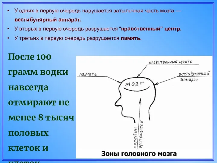 После 100 грамм водки навсегда отмирают не менее 8 тысяч