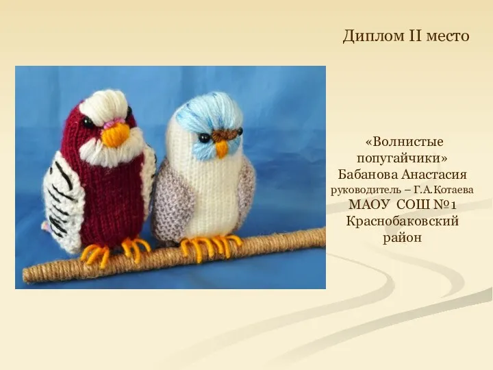 «Волнистые попугайчики» Бабанова Анастасия руководитель – Г.А.Котаева МАОУ СОШ №1 Краснобаковский район Диплом II место