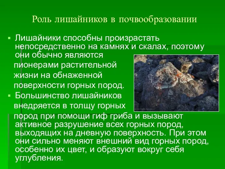 Роль лишайников в почвообразовании Лишайники способны произрастать непосредственно на камнях и скалах, поэтому