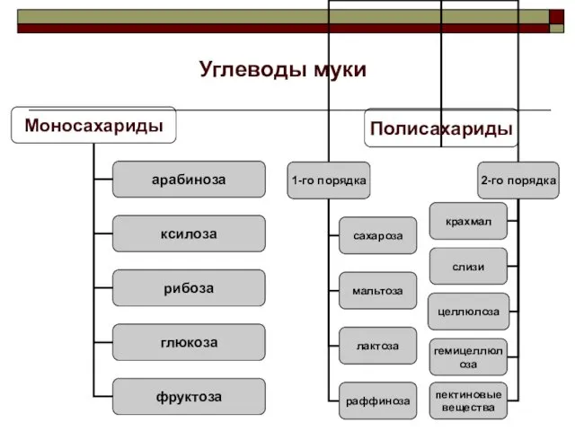 Углеводы муки