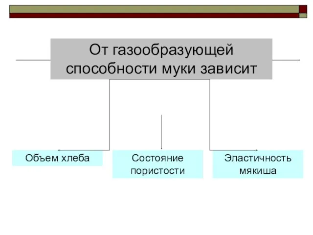 От газообразующей способности муки зависит Объем хлеба Состояние пористости Эластичность мякиша