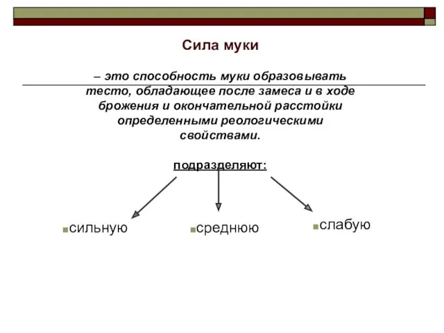 Сила муки – это способность муки образовывать тесто, обладающее после