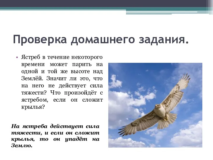 Проверка домашнего задания. Ястреб в течение некоторого времени может парить