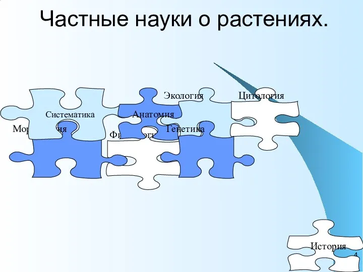 * Частные науки о растениях. Экология Физиология Морфология Систематика Анатомия История Цитология Генетика