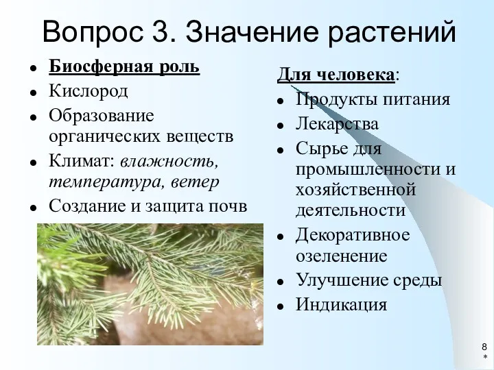 * Вопрос 3. Значение растений Для человека: Продукты питания Лекарства