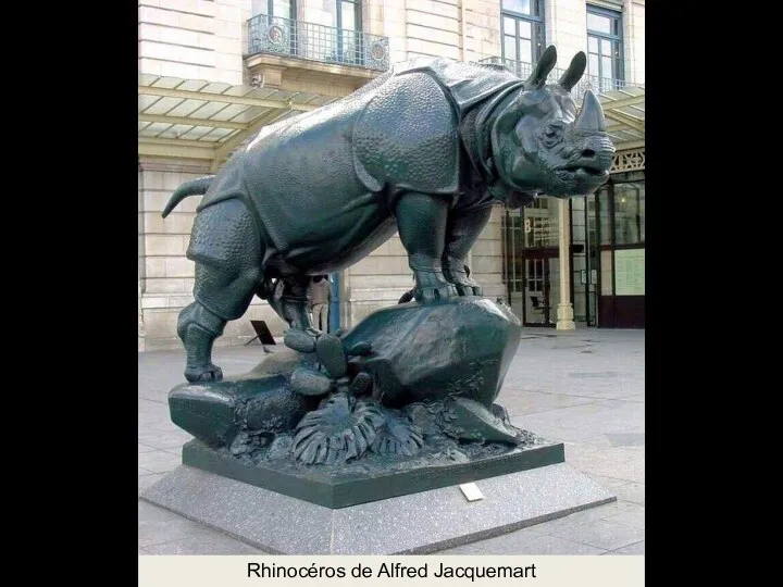 Rhinocéros de Alfred Jacquemart