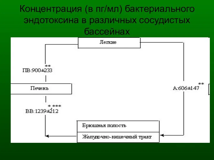 Концентрация (в пг/мл) бактериального эндотоксина в различных сосудистых бассейнах