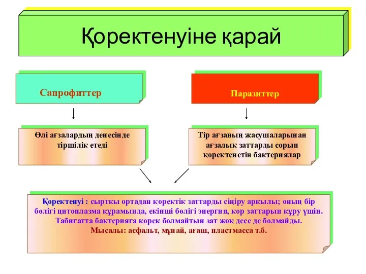 Сапрофиттер Паразиттер Өлі ағзалардың денесінде тіршілік етеді Тір ағзаның жасушаларынан