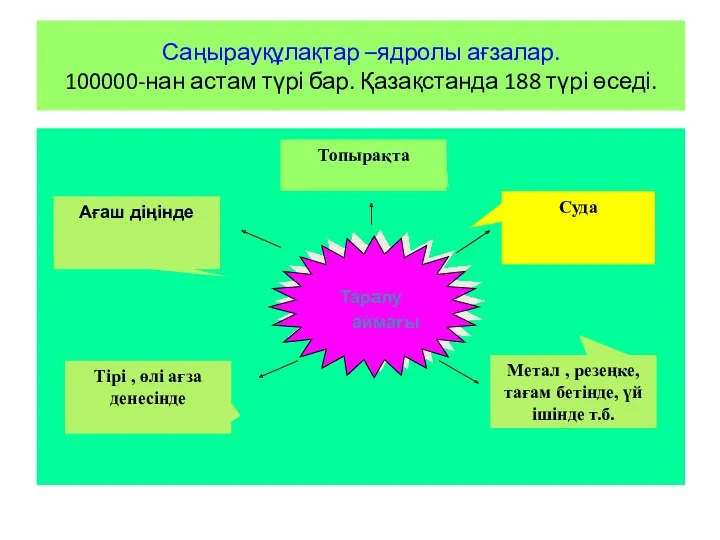 Саңырауқұлақтар –ядролы ағзалар. 100000-нан астам түрі бар. Қазақстанда 188 түрі