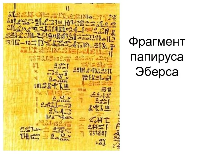 Фрагмент папируса Эберса