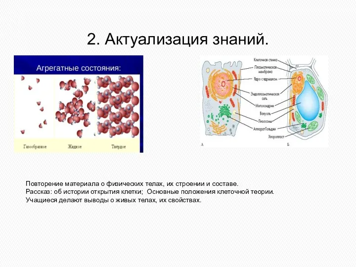 2. Актуализация знаний. Повторение материала о физических телах, их строении