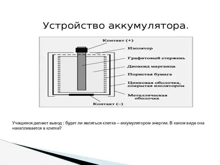 Учащиеся делают вывод : будет ли являться клетка – аккумулятором