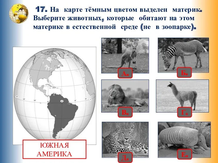 17. На карте тёмным цветом выделен материк. Выберите животных, которые