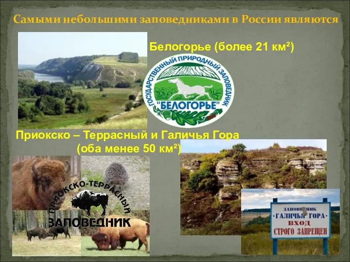 Белогорье (более 21 км²) Самыми небольшими заповедниками в России являются Приокско – Террасный