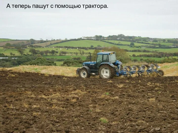 А теперь пашут с помощью трактора.