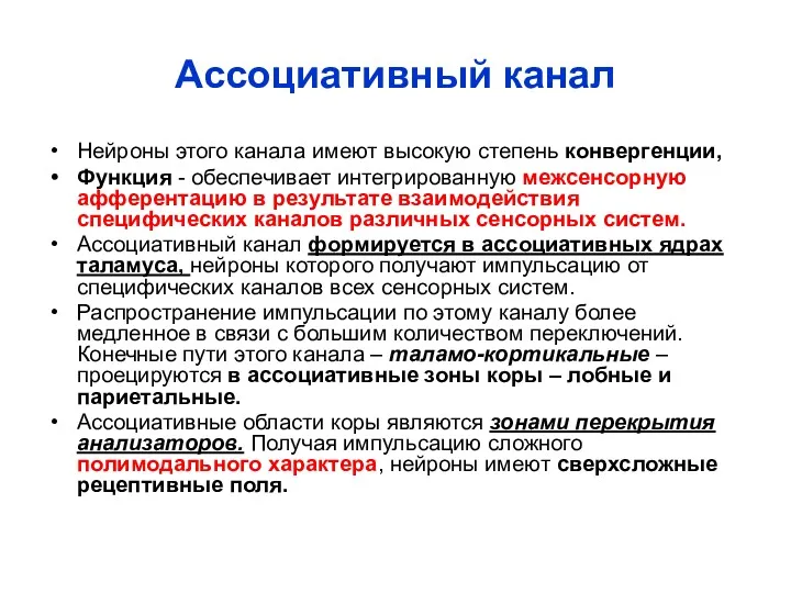 Ассоциативный канал Нейроны этого канала имеют высокую степень конвергенции, Функция - обеспечивает интегрированную