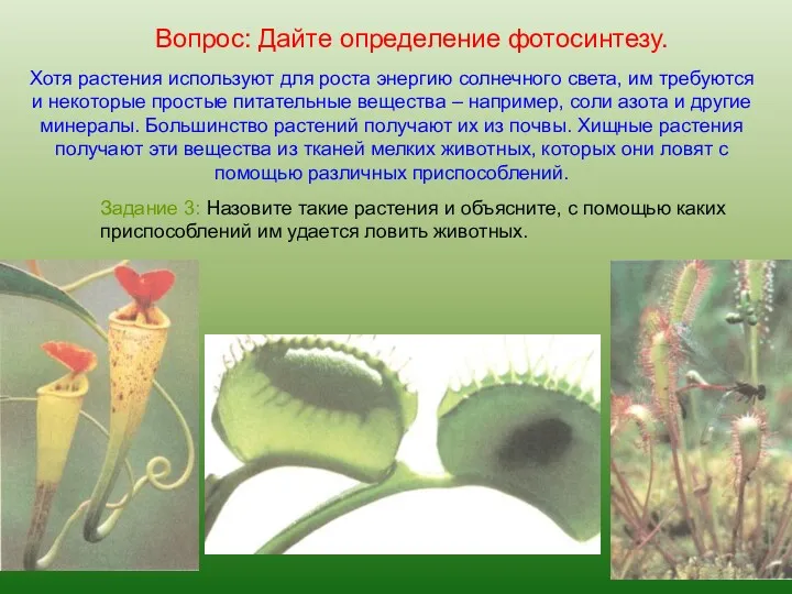 Хотя растения используют для роста энергию солнечного света, им требуются