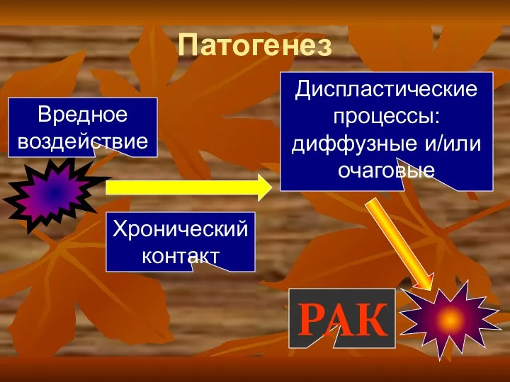 Патогенез Вредное воздействие Хронический контакт Диспластические процессы: диффузные и/или очаговые РАК