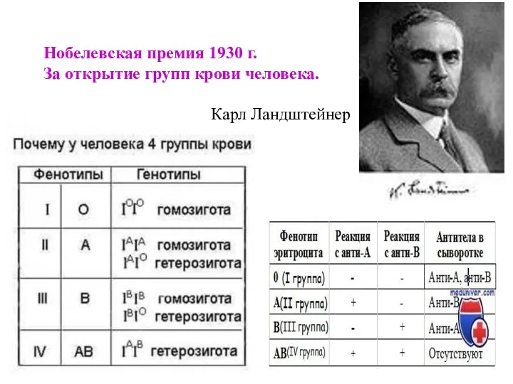 Нобелевская премия 1930 г. За открытие групп крови человека. Карл Ландштейнер