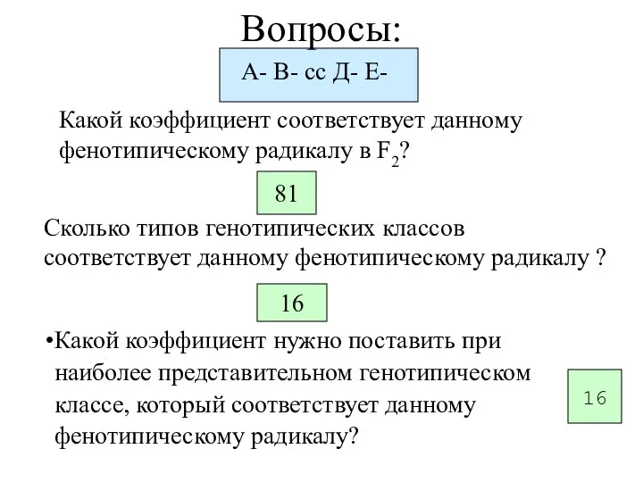 81 16 16 Вопросы: А- В- сс Д- Е- Какой