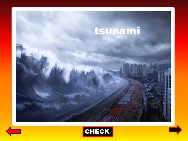 CHECK tsunami