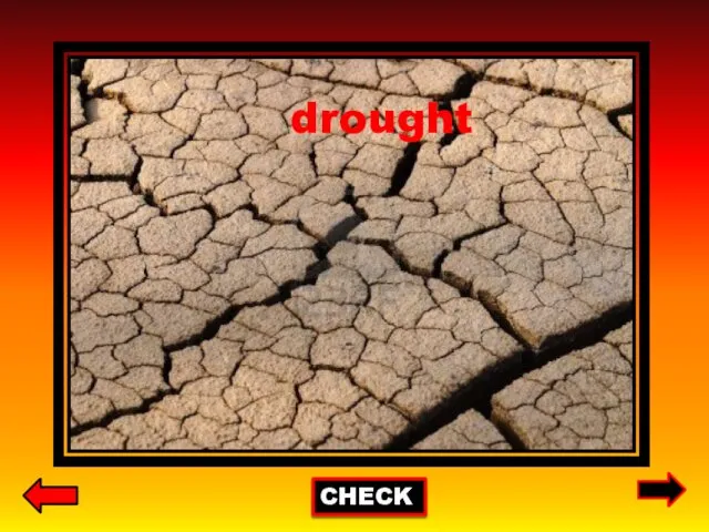 CHECK drought