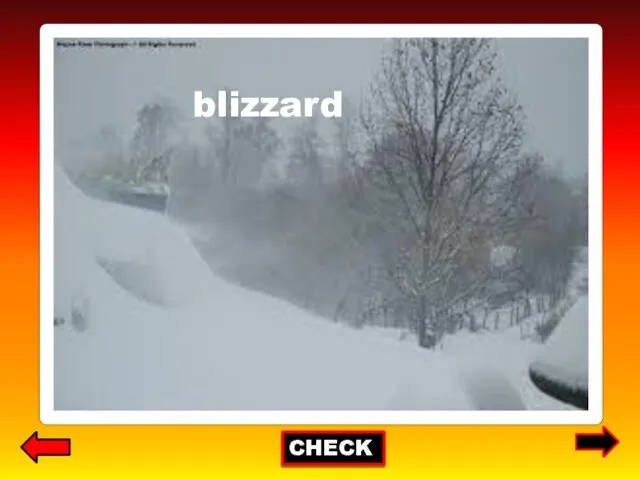 CHECK blizzard