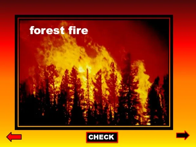 CHECK forest fire
