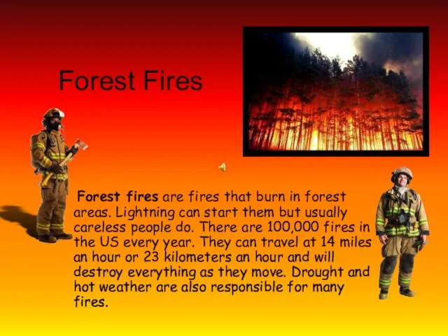 Forest Fires Forest fires are fires that burn in forest