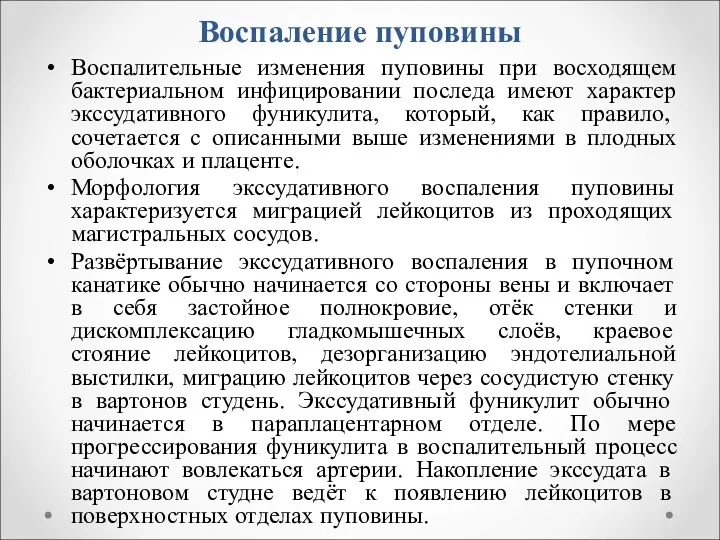 Воспаление пуповины Воспалительные изменения пуповины при восходящем бактериальном инфицировании последа