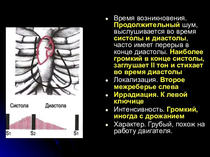 Время возникновения. Продолжительный шум, выслушивается во время систолы и диастолы,