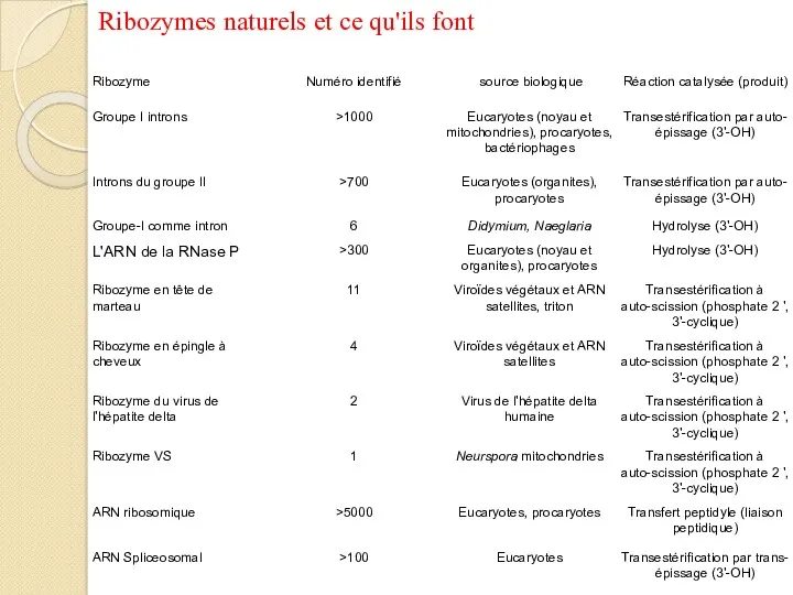 Ribozymes naturels et ce qu'ils font