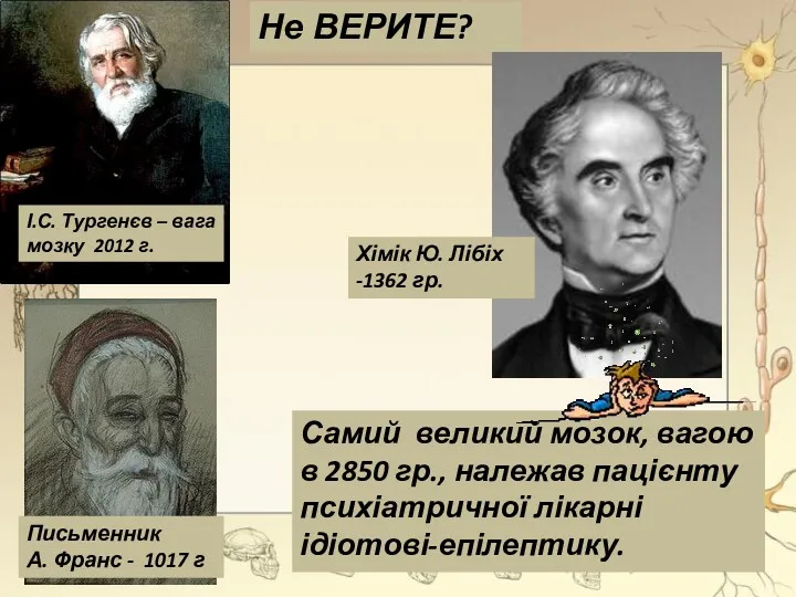 Самий великий мозок, вагою в 2850 гр., належав пацієнту психіатричної