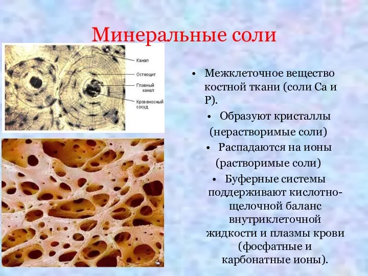 Минеральные соли Межклеточное вещество костной ткани (соли Ca и P).