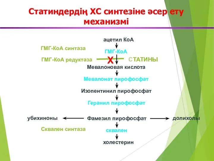 Статиндердің ХС синтезіне әсер ету механизмі ацетил КоА ГМГ-КоА Мевалоновая