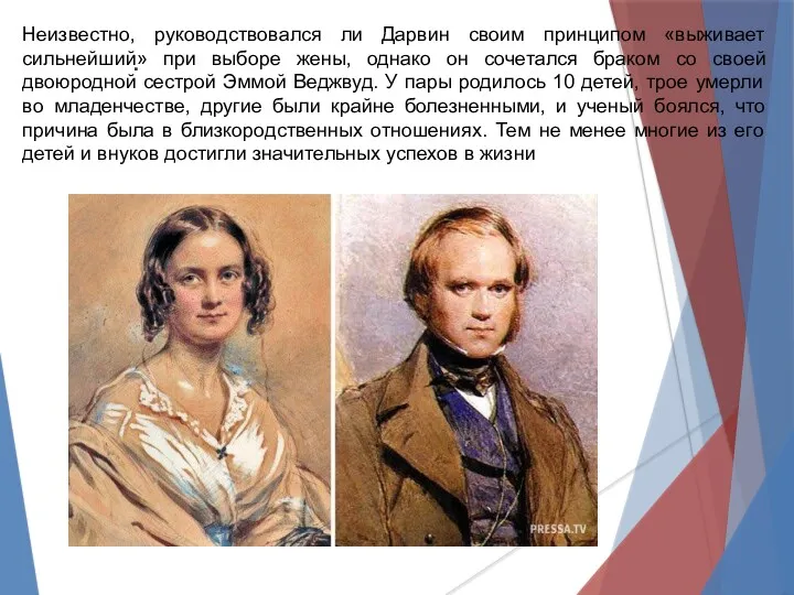 . Неизвестно, руководствовался ли Дарвин своим принципом «выживает сильнейший» при