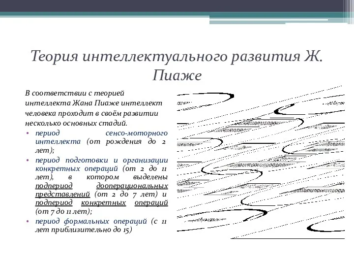 Теория интеллектуального развития Ж. Пиаже В соответствии с теорией интеллекта