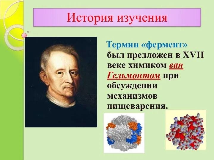 Термин «фермент» был предложен в XVII веке химиком ван Гельмонтом при обсуждении механизмов пищеварения. История изучения