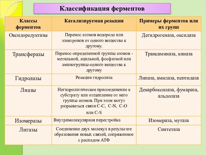 Классификация ферментов