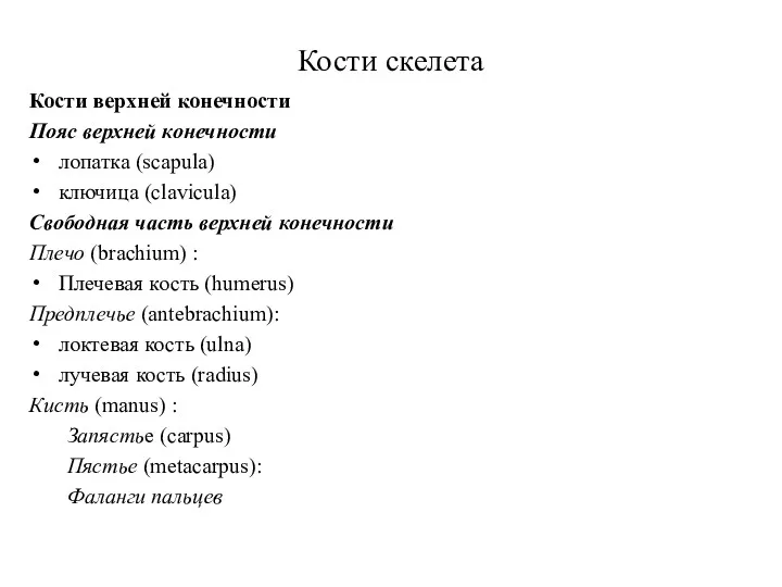 Кости скелета Кости верхней конечности Пояс верхней конечности лопатка (scapula)