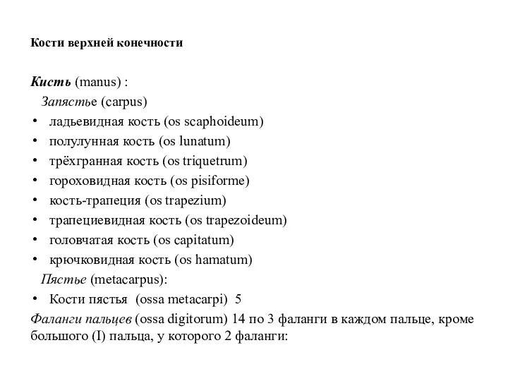 Кости верхней конечности Кисть (manus) : Запястье (carpus) ладьевидная кость (os scaphoideum) полулунная