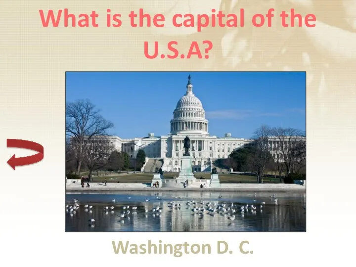What is the capital of the U.S.A? Washington D. C.