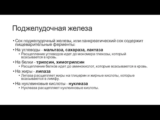 Поджелудочная железа Сок поджелудочный железы, или панкреатический сок содержит пищеварительные